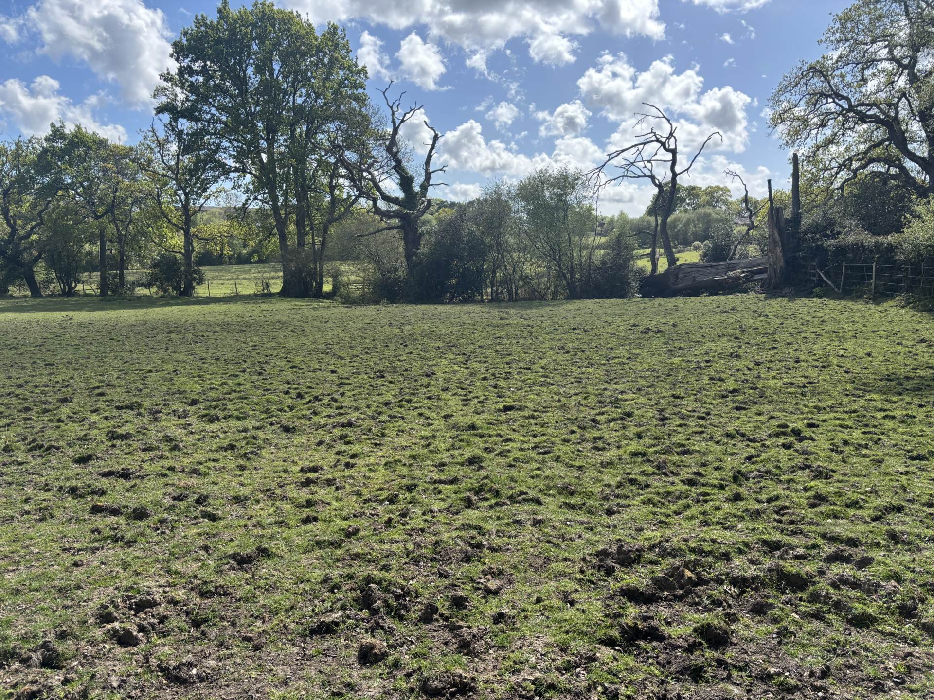 Minstead Image 3