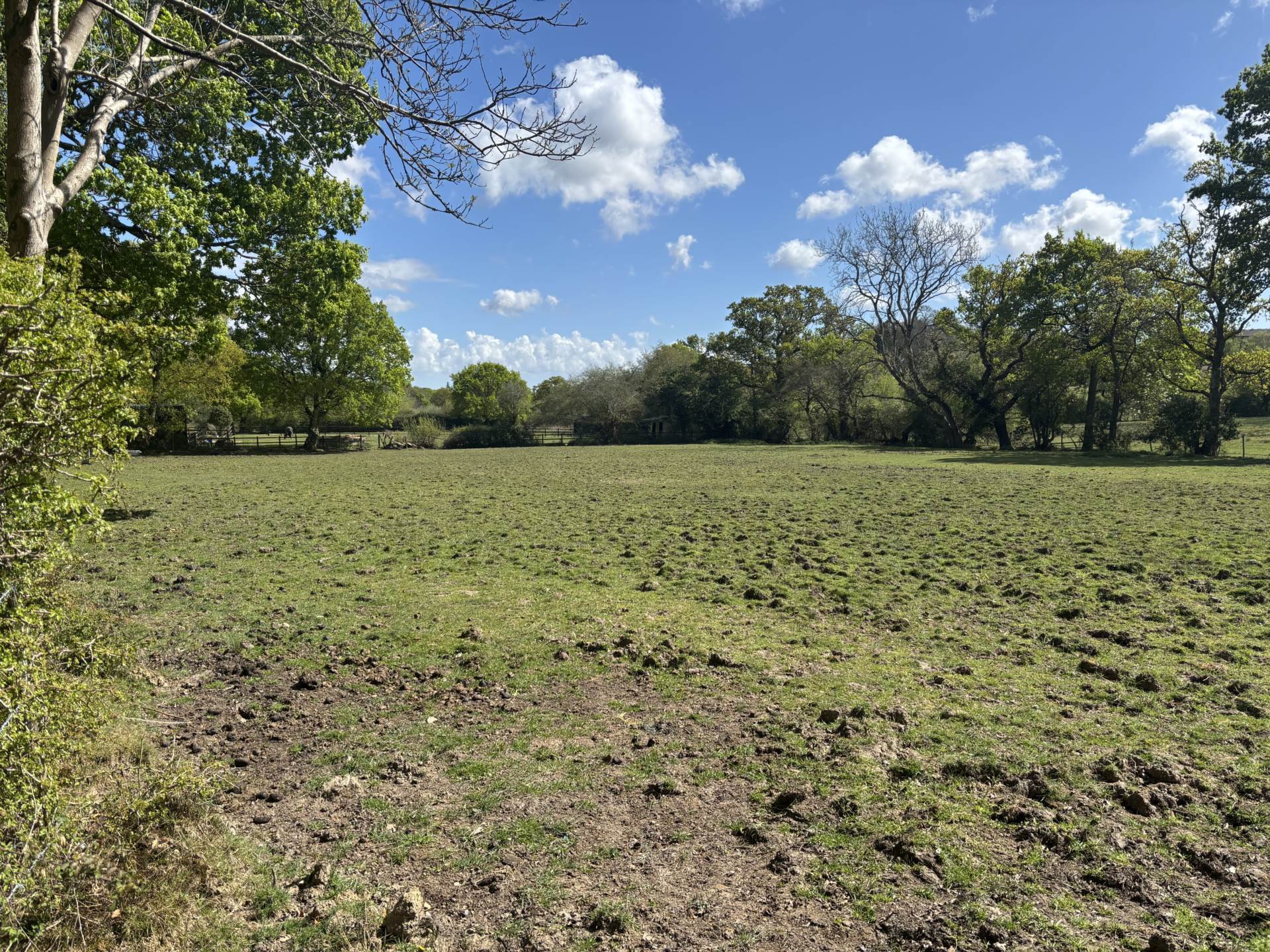 Minstead Image 4