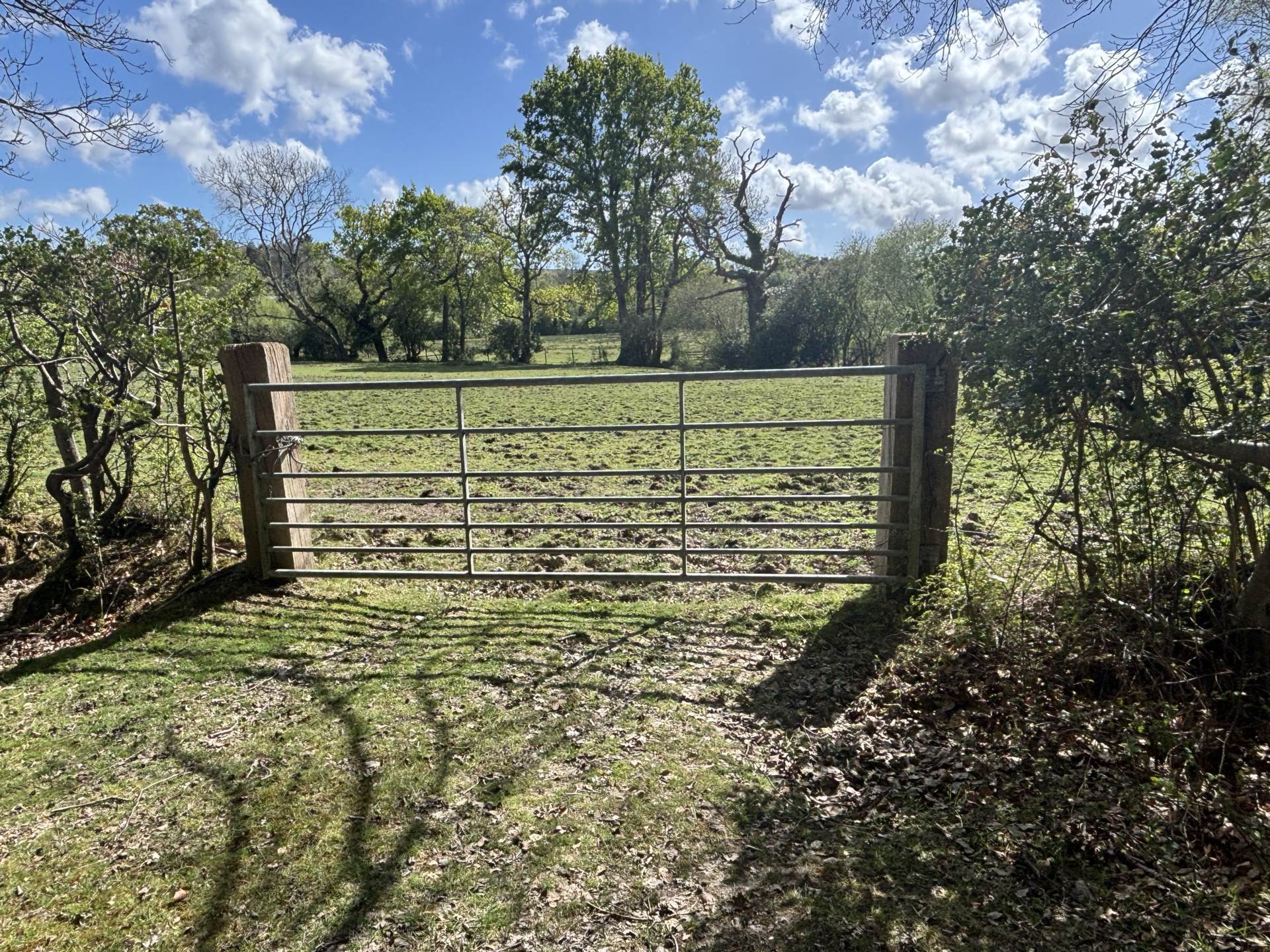 Minstead Image 5