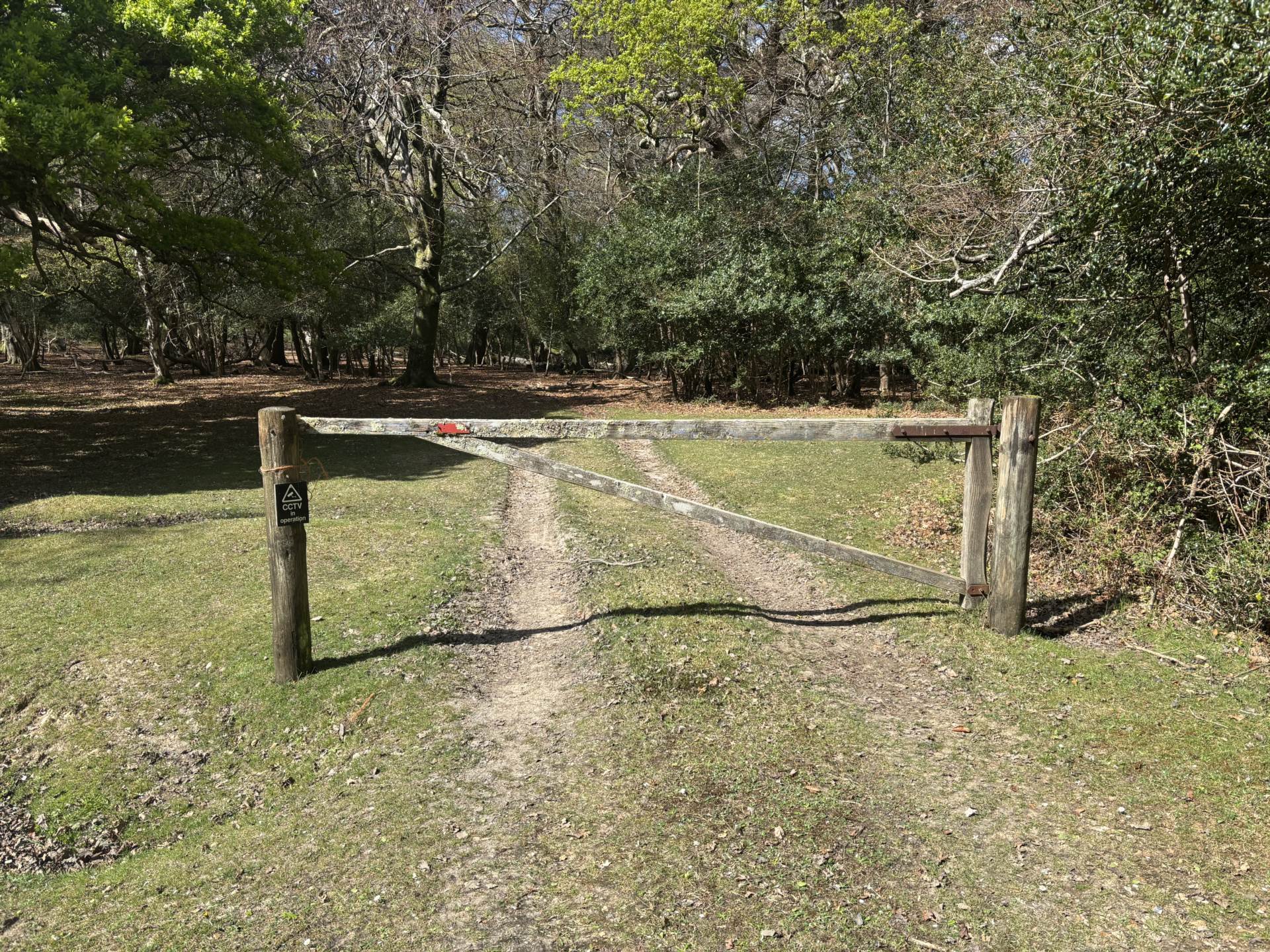 Minstead Image 6