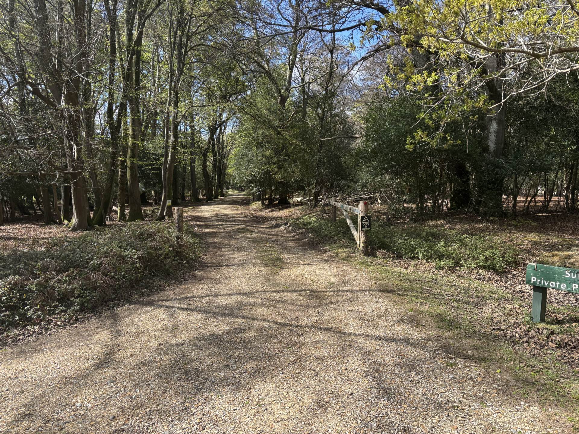 Minstead Image 7