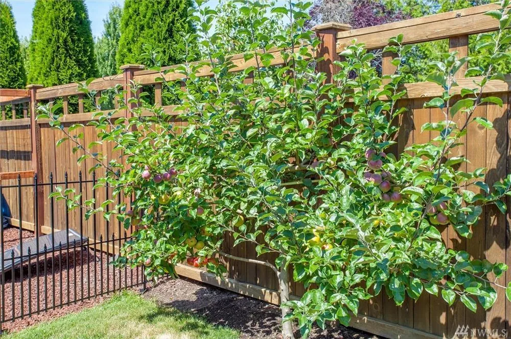 16208 3rd Ave S, Burien, WA 98148