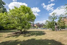 Manor Fields, London, SW15 photo 13