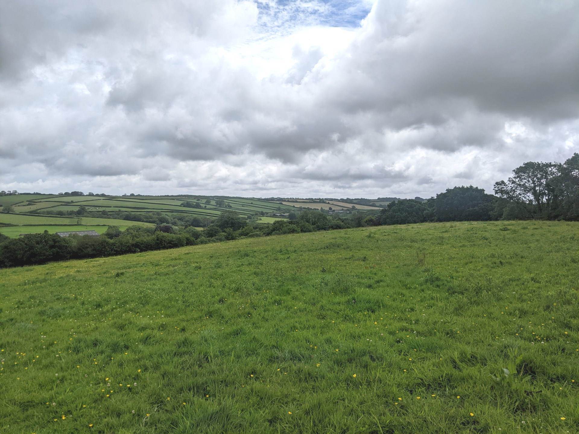 Hooke, Beaminster Image 3