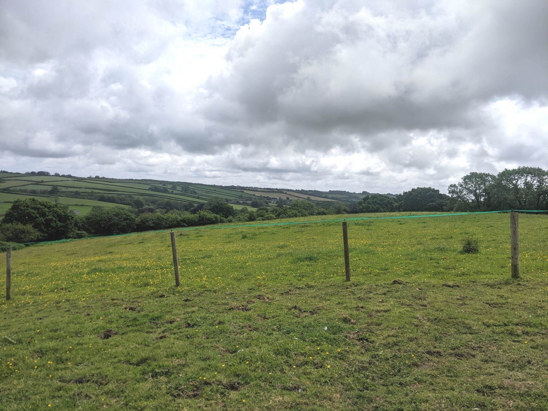 Hooke, Beaminster Image 1