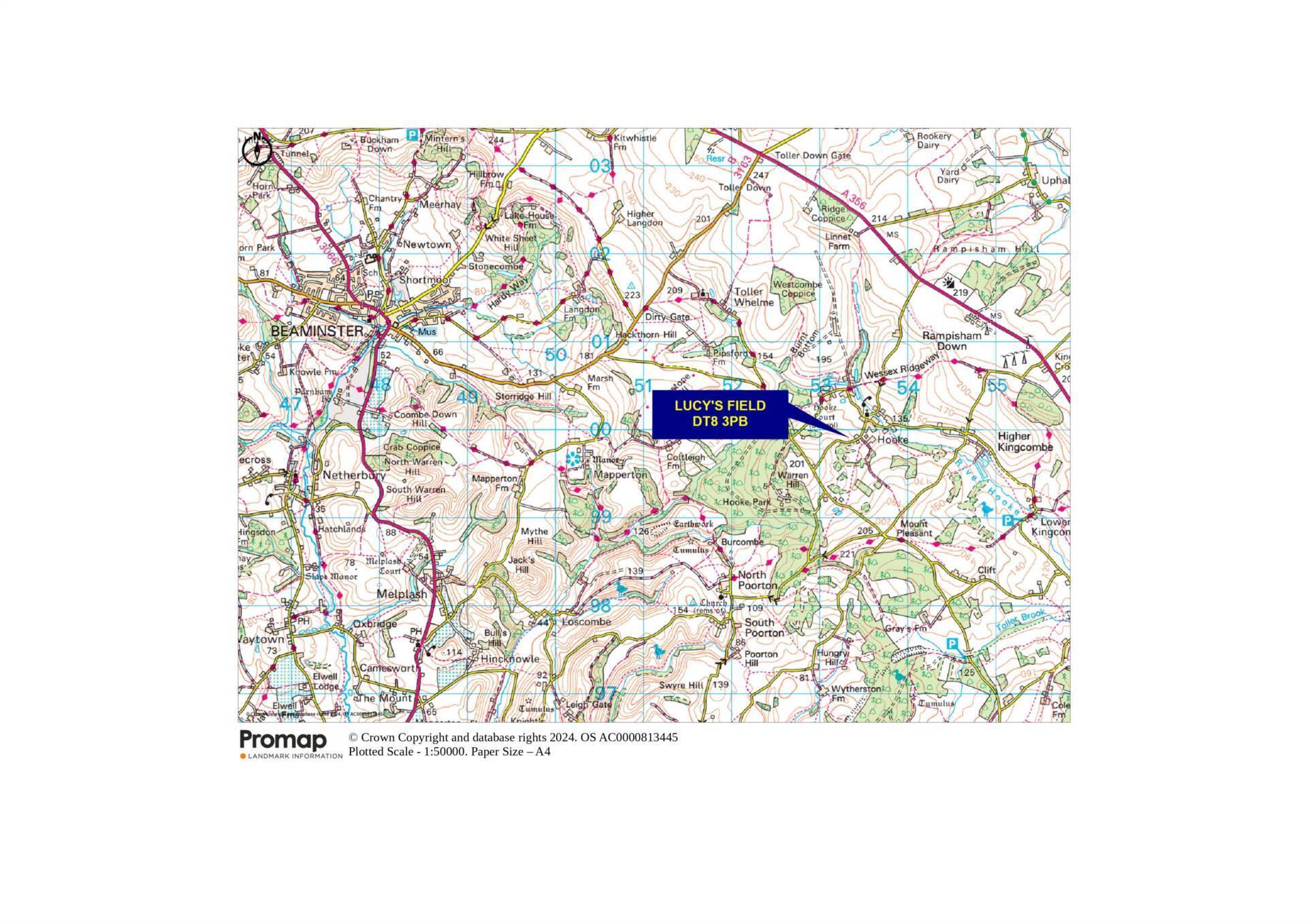 Hooke, Beaminster Image 8