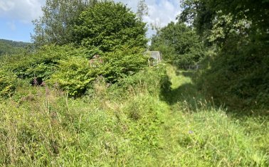 Rhandirmwyn, Llandovery, Carmarthenshire.