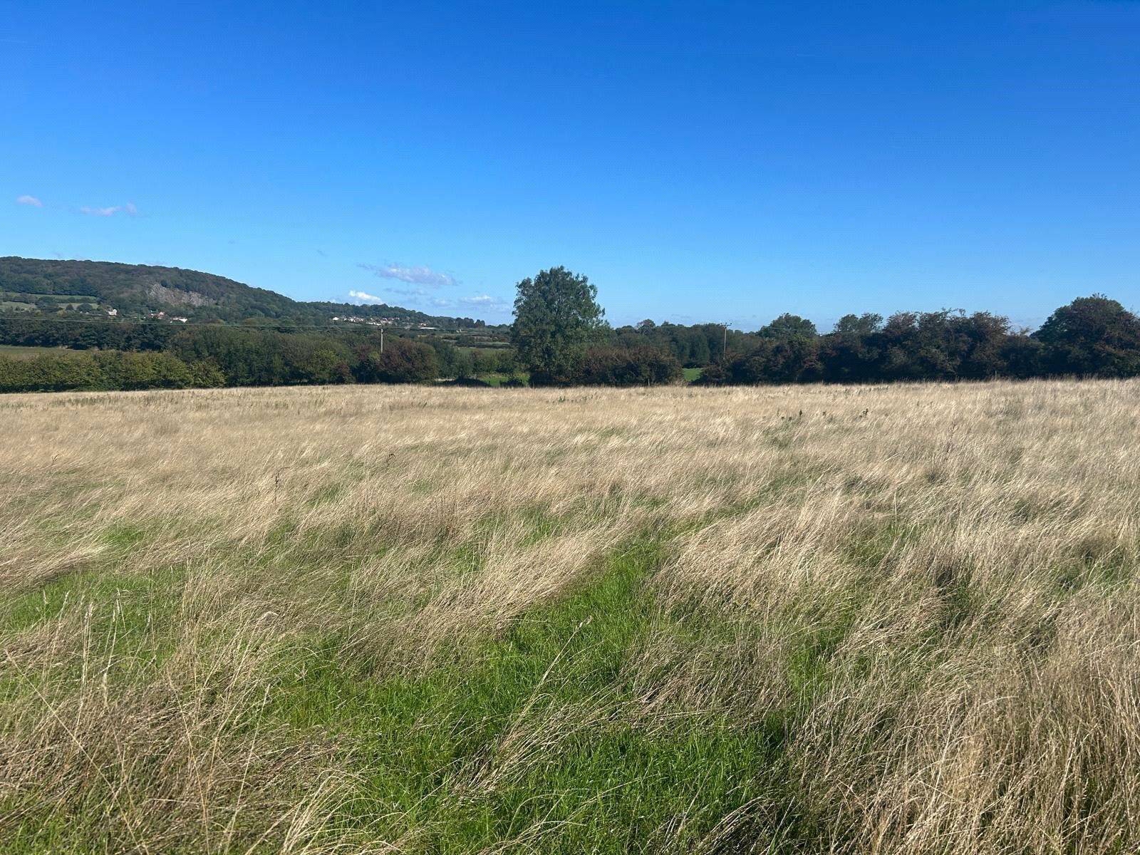 Clevedon Lane, Clevedon, Somerset, BS21