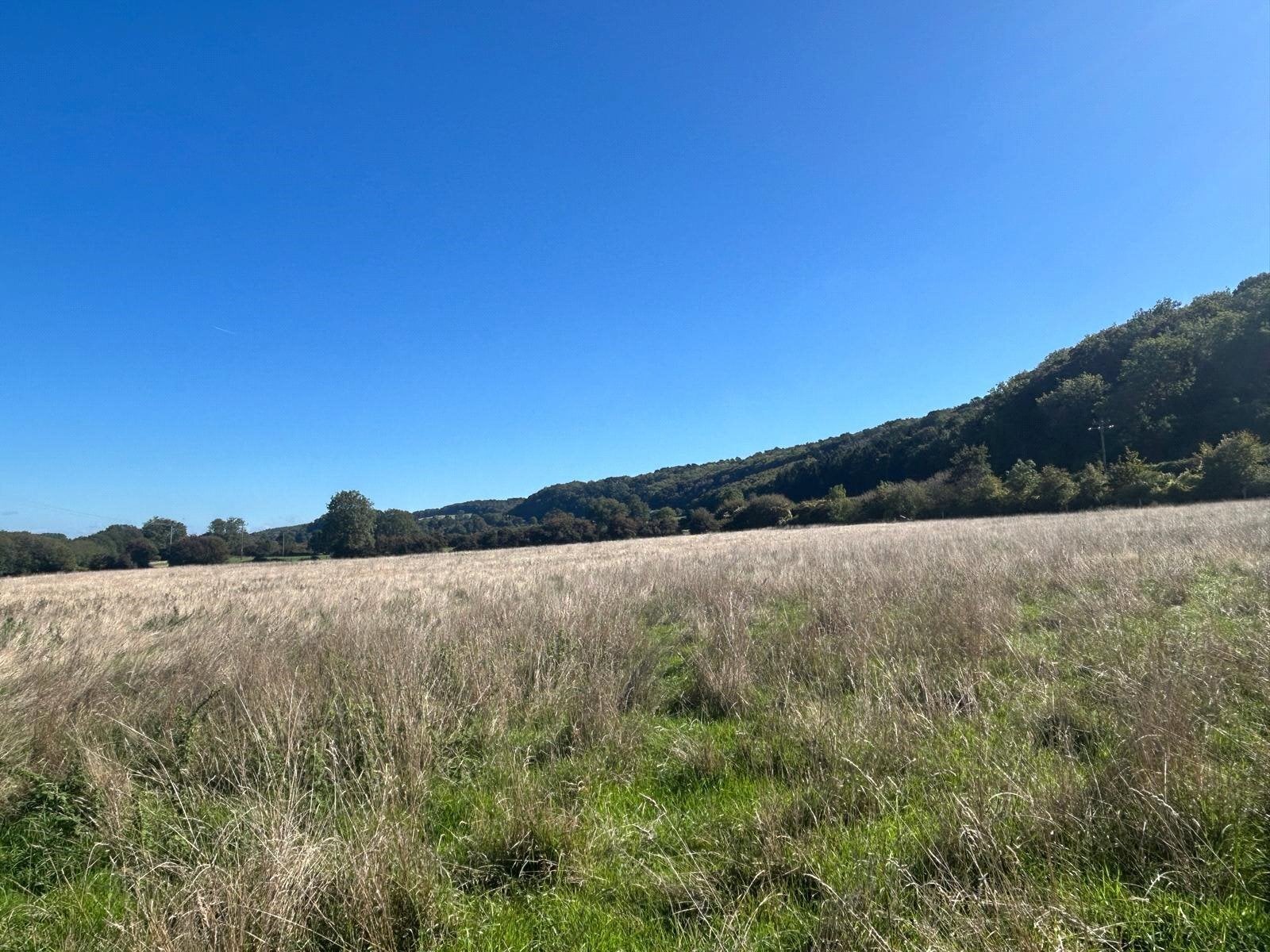 Clevedon Lane, Clevedon, Somerset, BS21