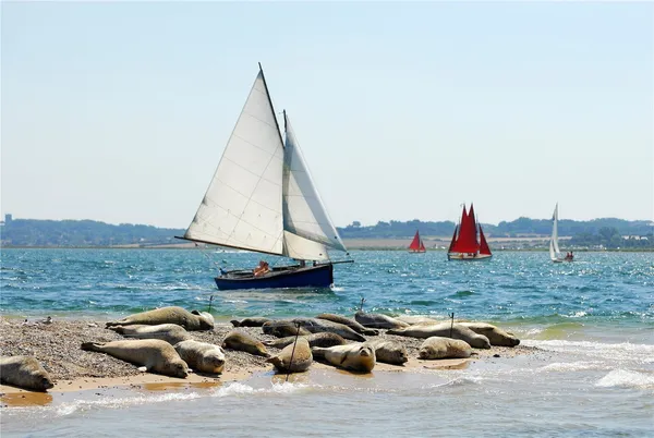 Quay Lane, Morston, NR25 photo 9