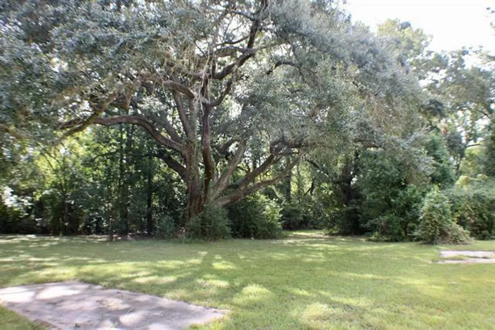 410 Belvedere Dr, Beaumont, TX 77706