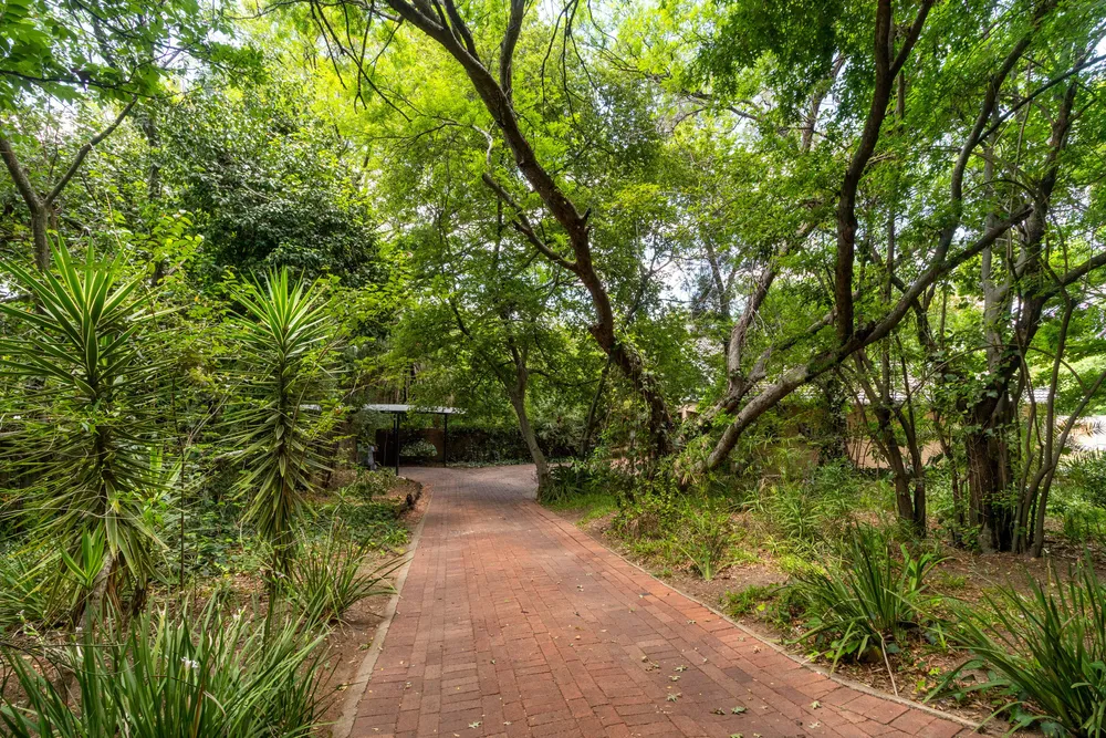 South Africa, Gauteng, Ferndale, Cork Avenue, 371
