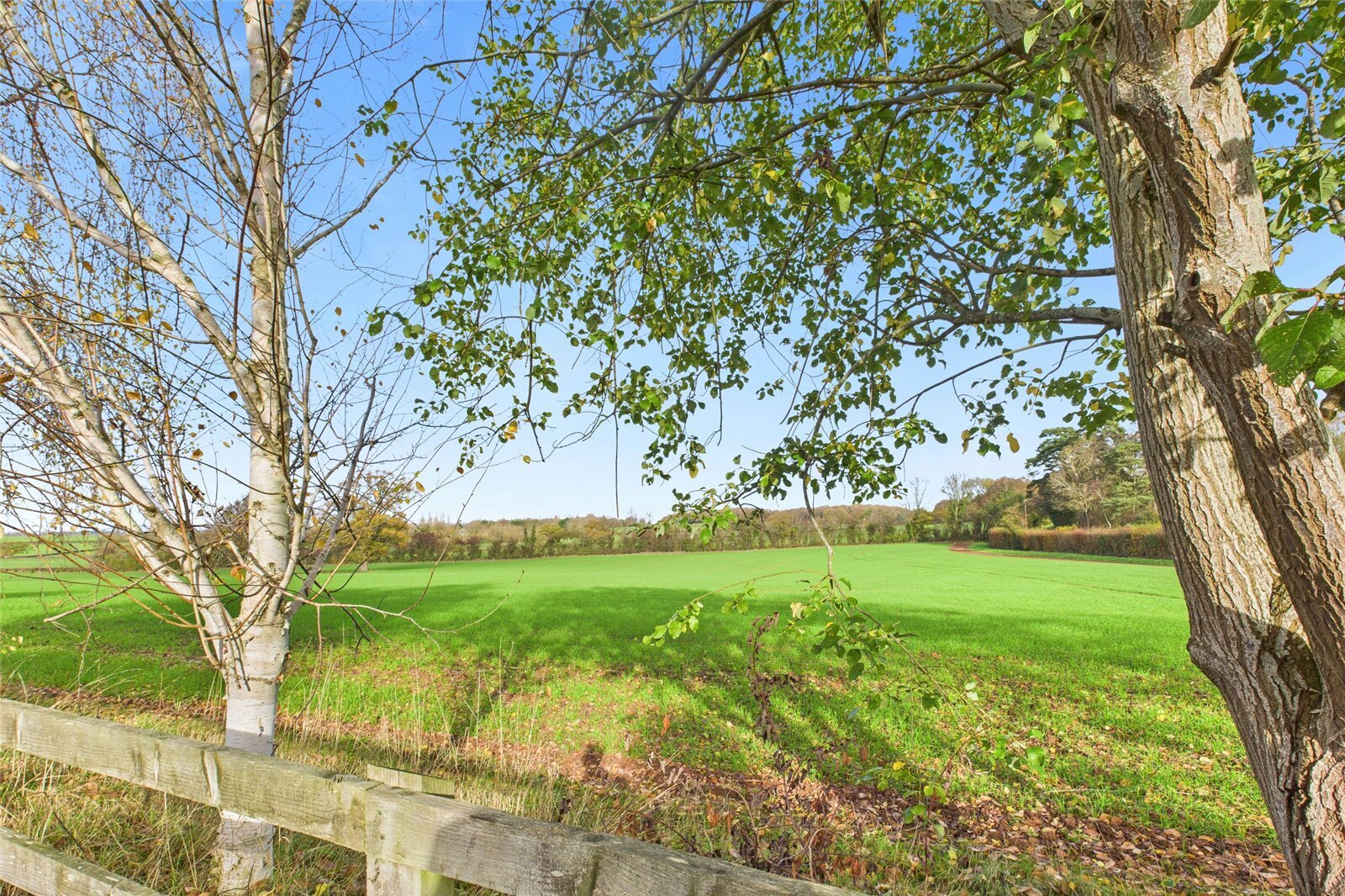 Callow, Hereford, Herefordshire, HR2 Image 12