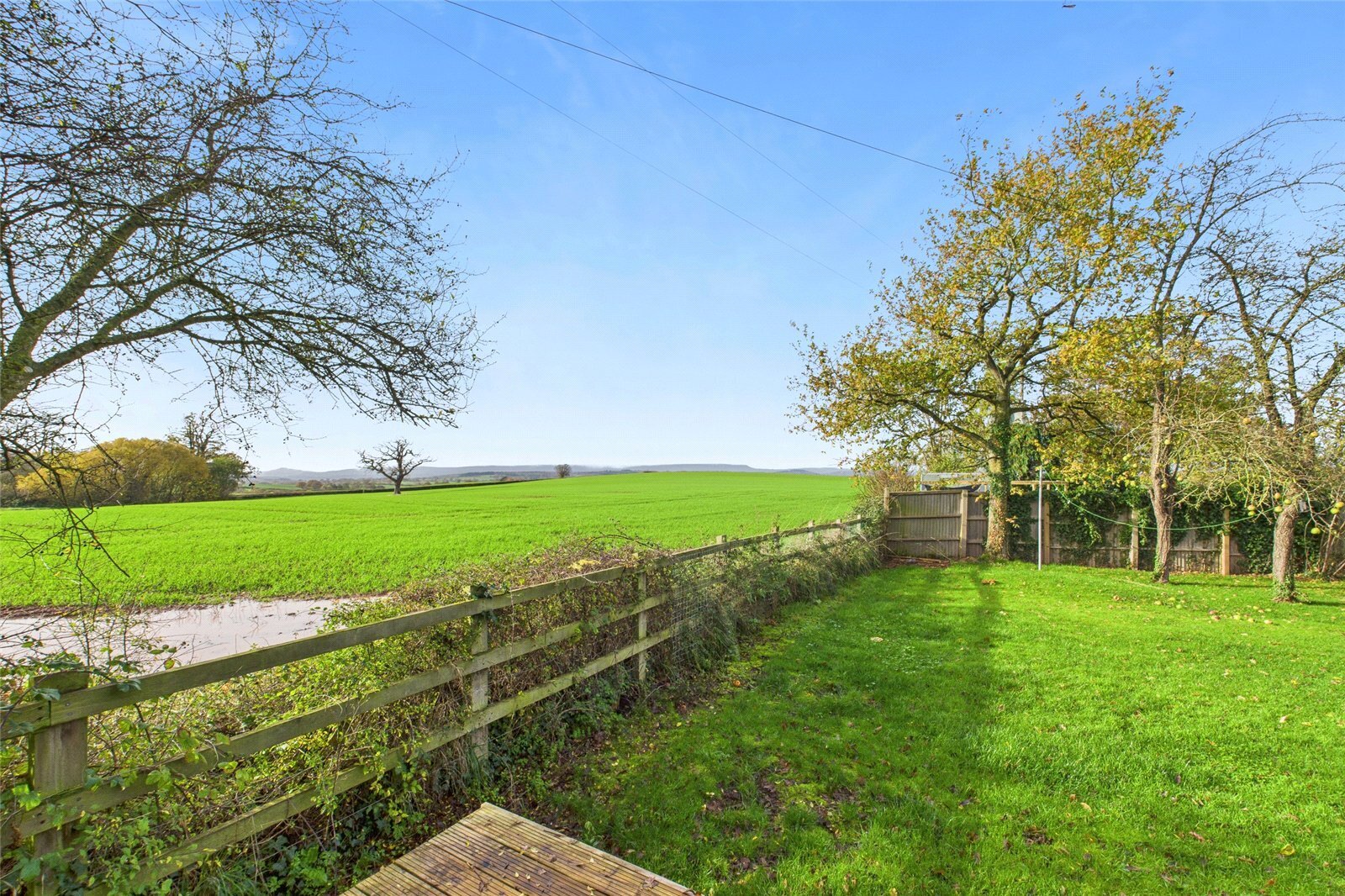 Callow, Hereford, Herefordshire, HR2 Image 16