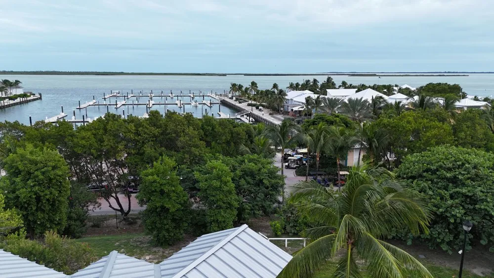 Bimini Bay Bimini