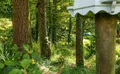 Property image gallery