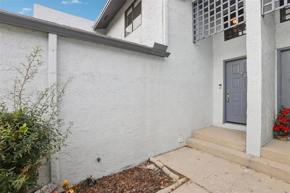 1310 Mountain View Dr, Tampa, FL 33612