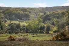 Daggons Road, Alderholt, Fordingbridge