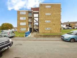 Little Pynchons, Harlow photo