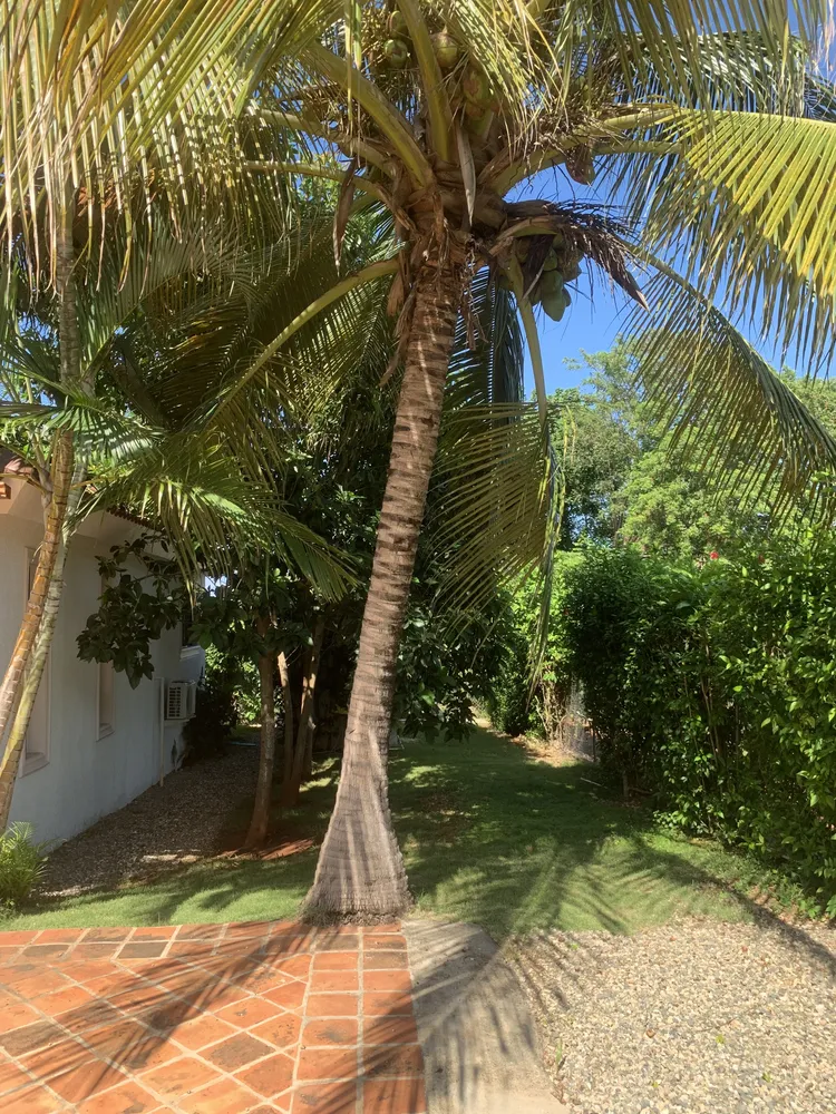 Sosua