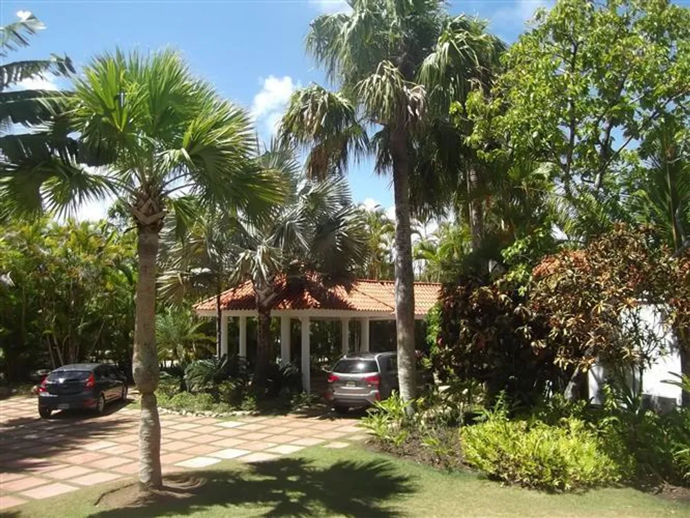 Sosua
