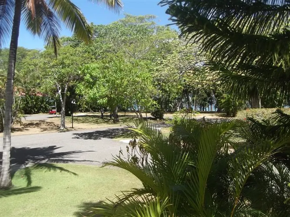 Sosua