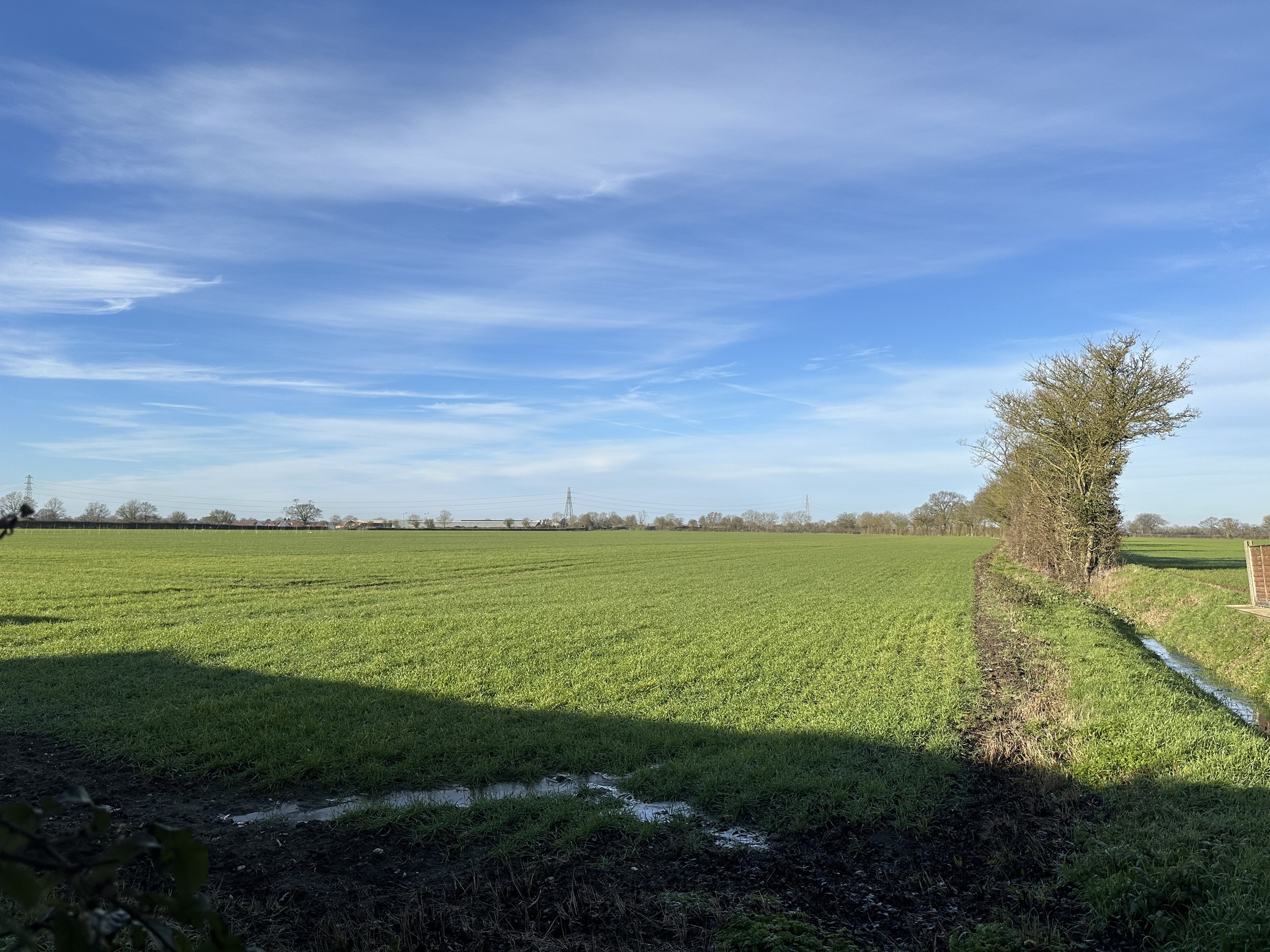 Saxham Street, Stowupland