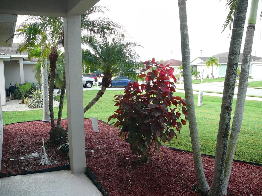 6512 Las Palmas Way, Port St Lucie, FL 34952