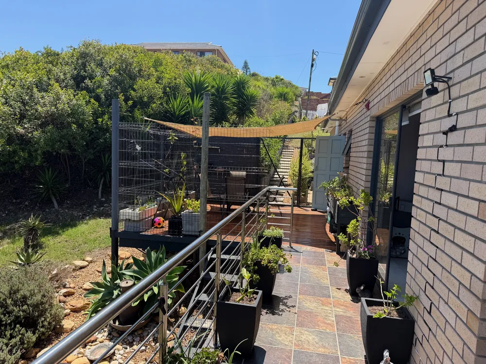 South Africa, Western Cape, Dana Bay, P. Pulchra Street, 8