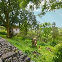 Property 33