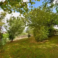 Property 24