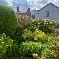 Property 19