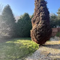 Property 22