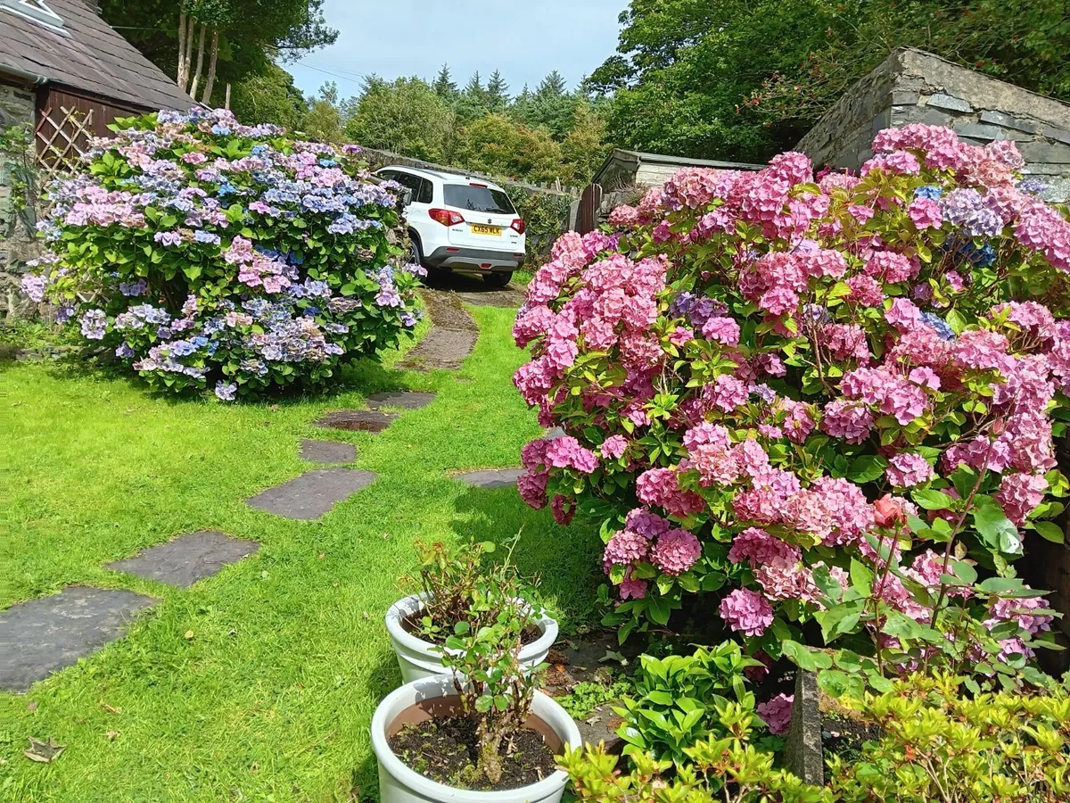 Dinorwig, Caernarfon, Gwynedd, LL55