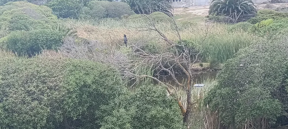 South Africa, Western Cape, Middedorp