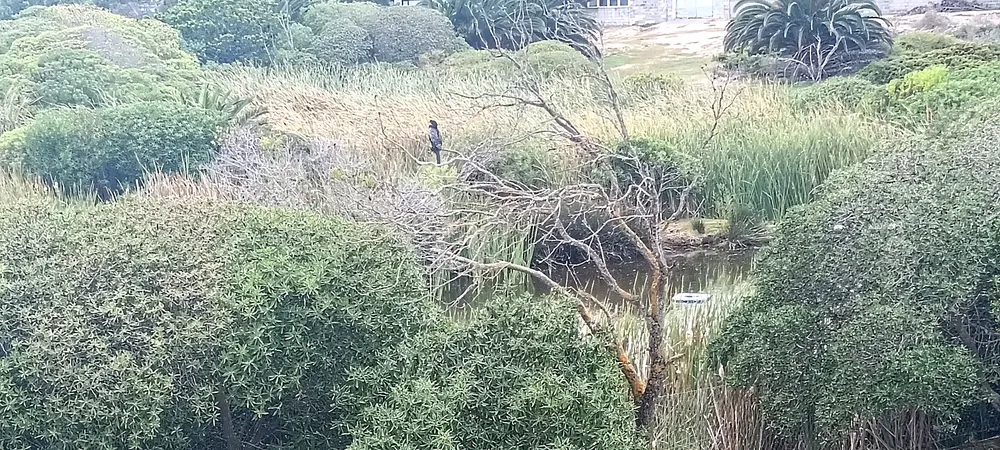 South Africa, Western Cape, Middedorp