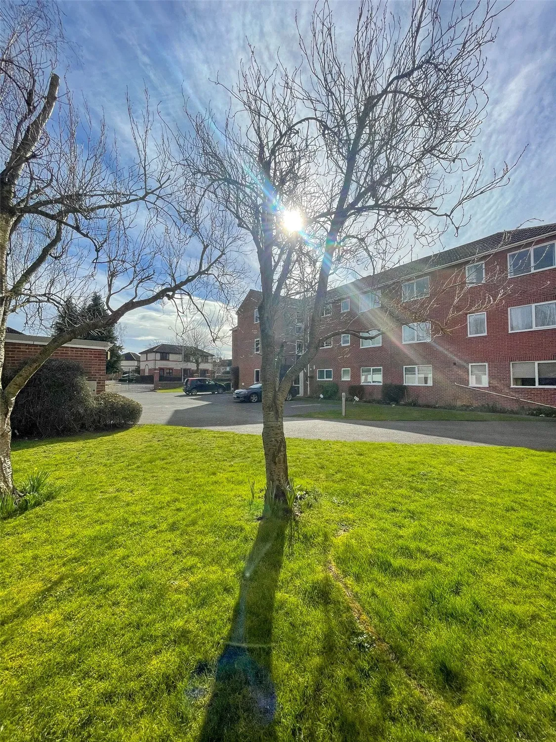 Fairlawns, Newmarket,, CB8 photo 14