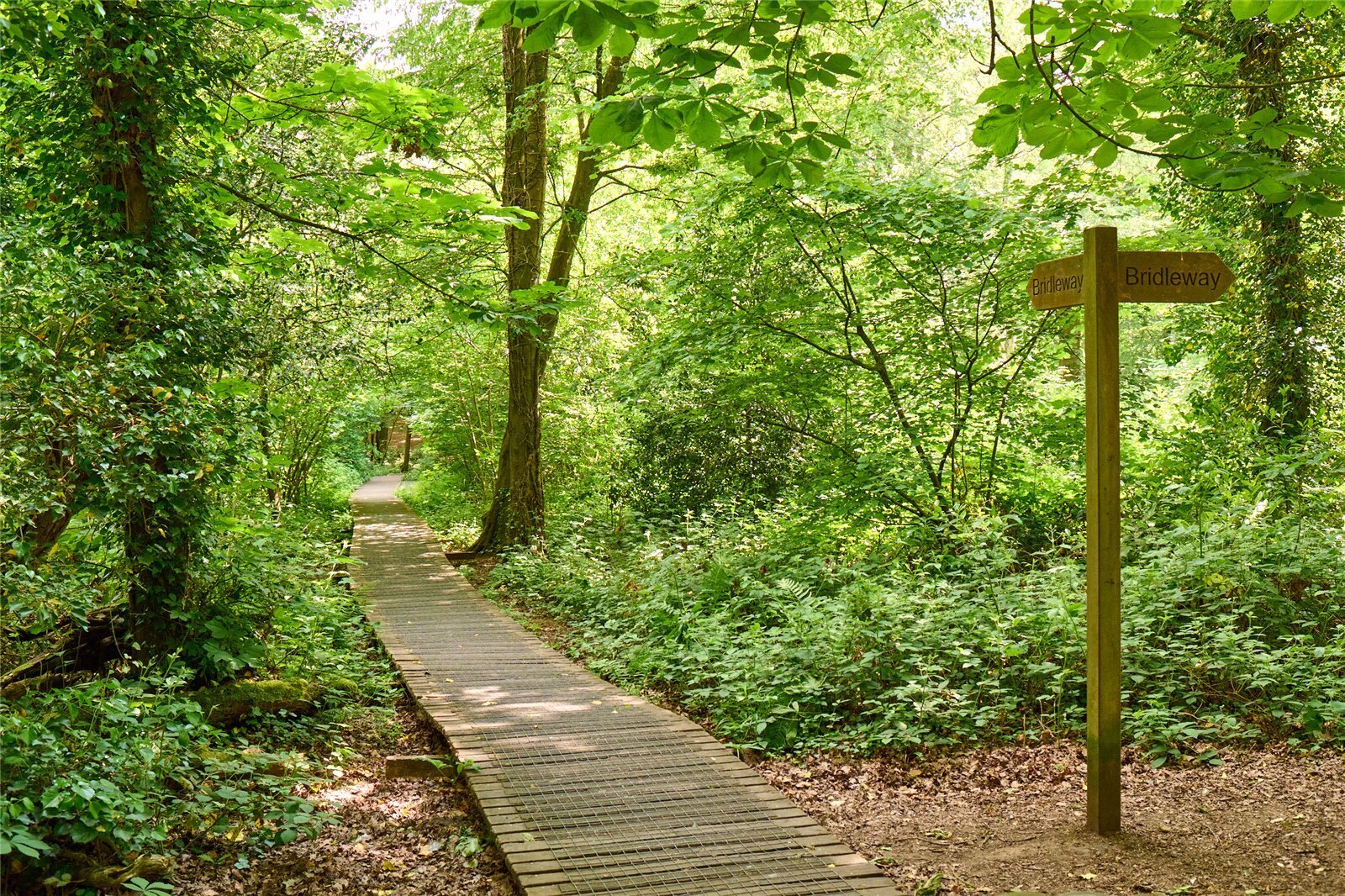 The Green, Bolley Avenue, Bordon, GU35 Image 7