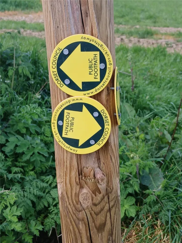 Dorchester Hill, Winterborne Whitechurch, Blandford Forum, Dorset, DT11