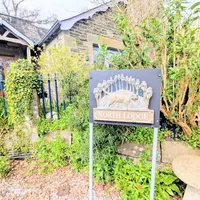 Property 29