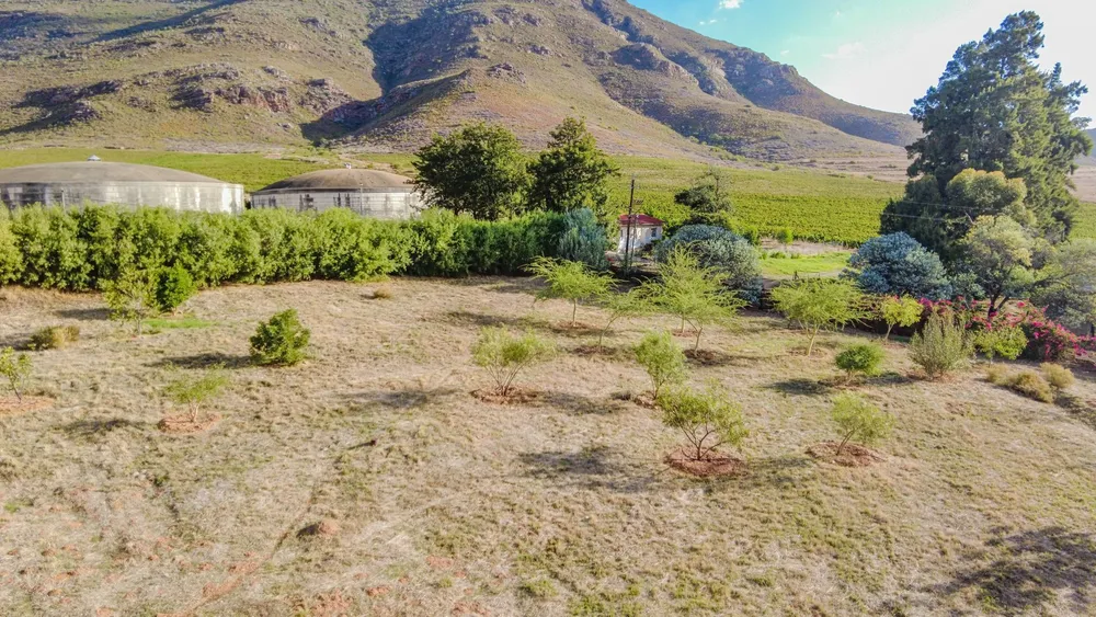 South Africa, Western Cape, Ongegund Village