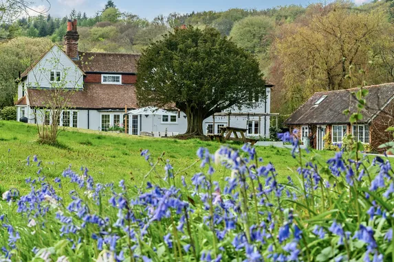 Kingsley Green, HASLEMERE, GU27