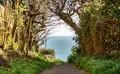 Property image gallery