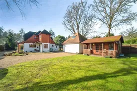 Property responsive