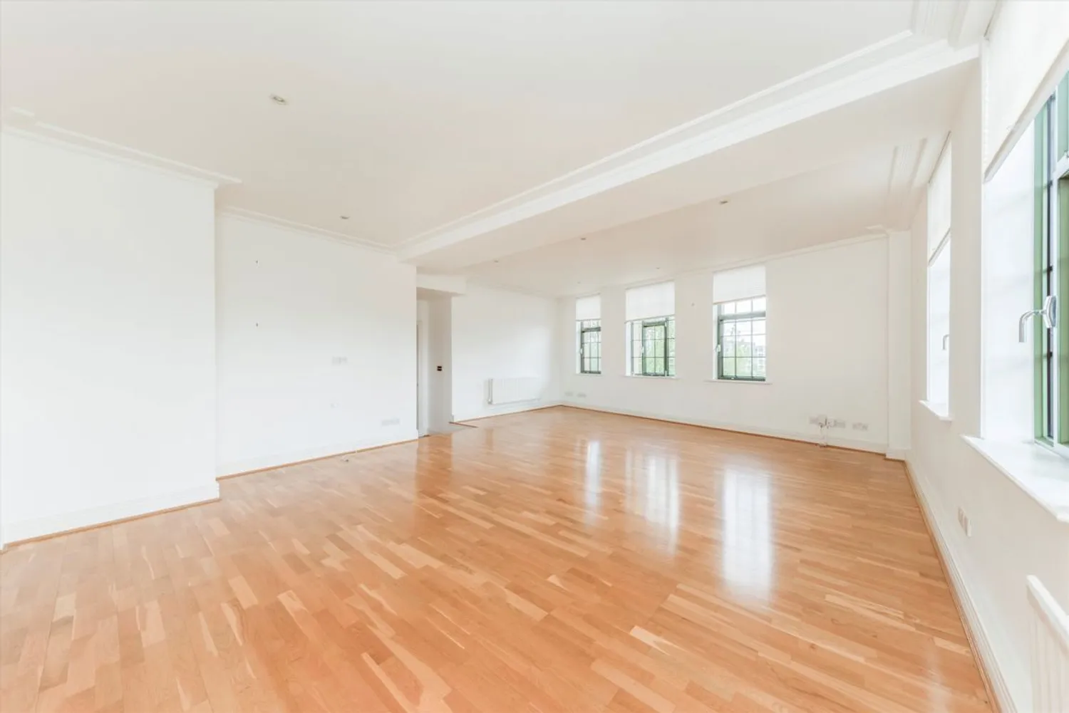 Somerville Avenue, London, SW13 photo 9