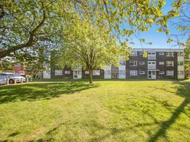 Lethe Grove, Colchester photo