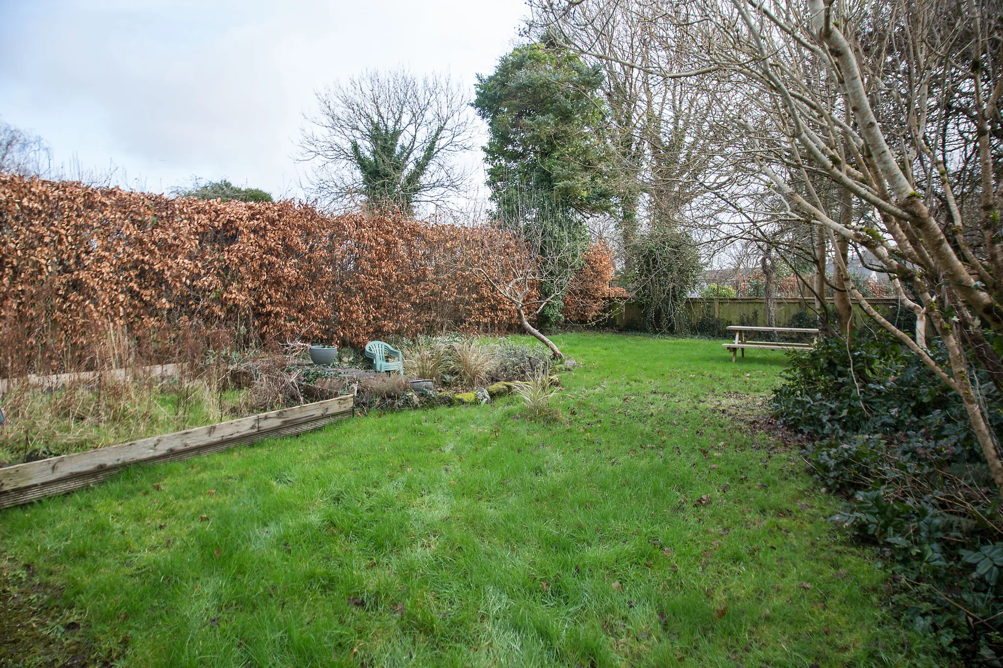 Lamb Park, Chagford