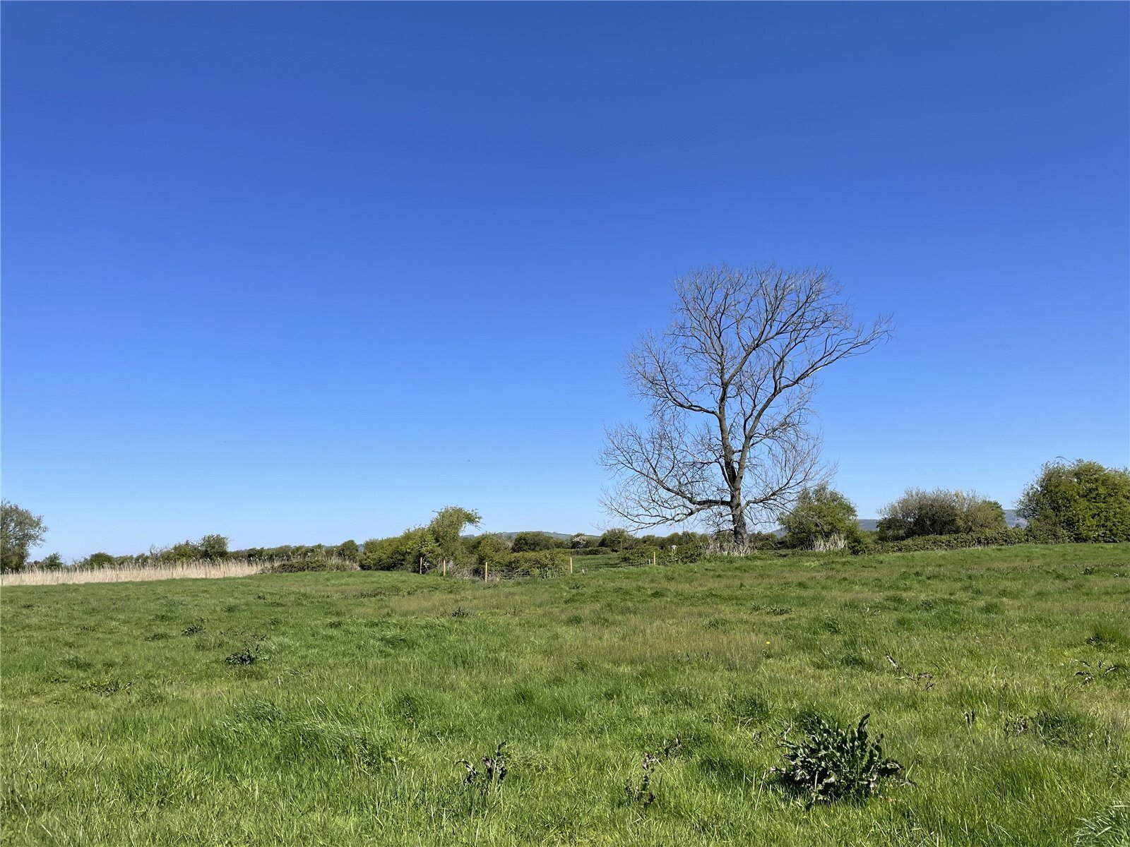 Vole Road, Mark, Highbridge, Somerset, TA9