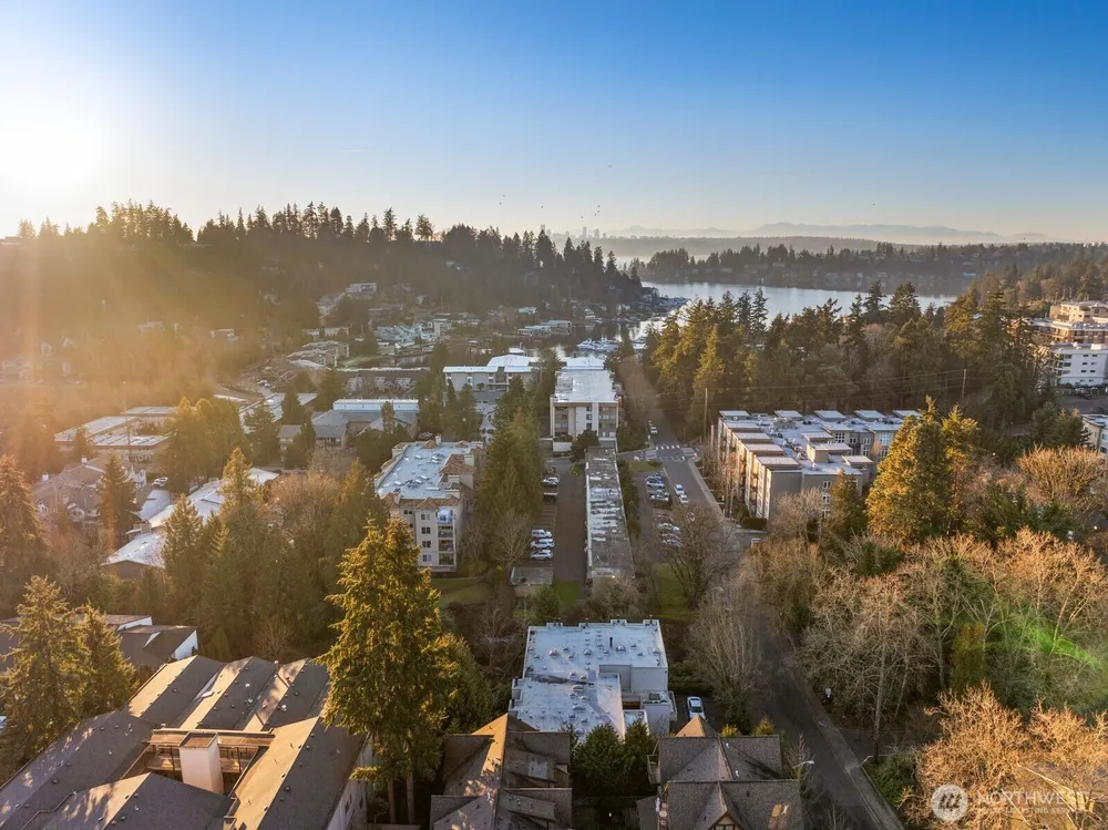 10237 SE 3rd St, Bellevue, WA 98004