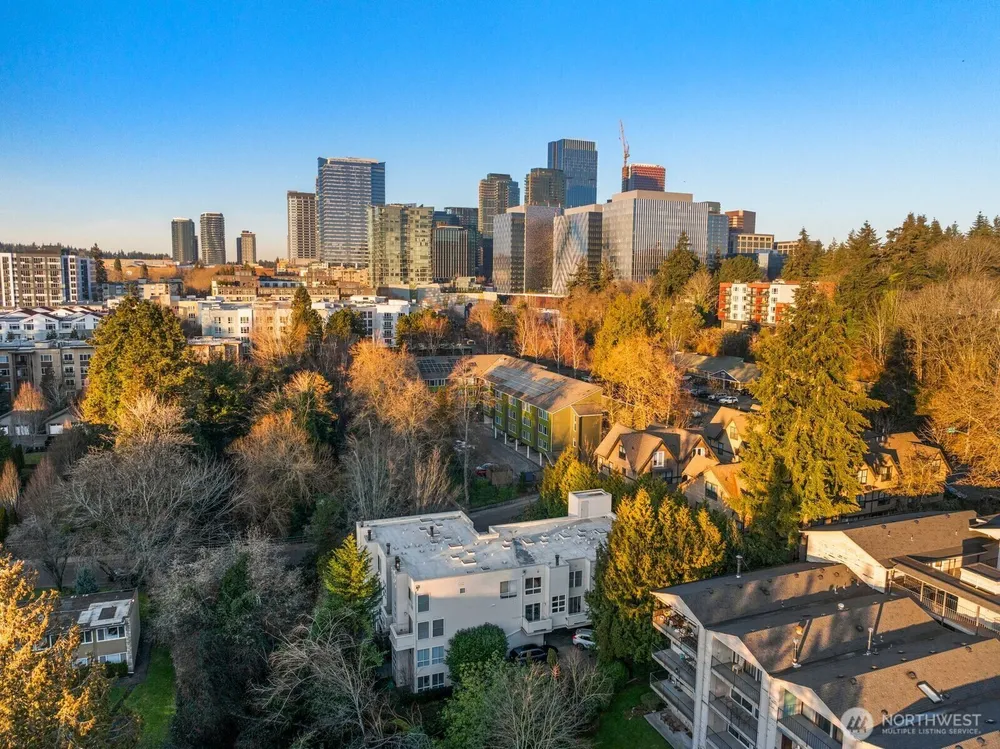 10237 SE 3rd St, Bellevue, WA 98004